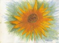 Mandala Sunflower - Watercolor Paintings - By Dana Chabino, Expressionistic Painting Artist