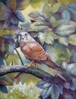 Hawk - Acrylic Paintings - By Elena Oleniuc, Decorative Painting Artist