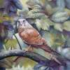 Hawk - Acrylic Paintings - By Elena Oleniuc, Decorative Painting Artist