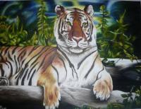 A Beautiful Tiger - Oil On Canvas Paintings - By Suzanne Clapp, Realism Painting Artist