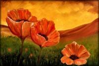 Giant Poppies - Oil  Acrylic On Canvas Paintings - By Peggy Garr, Modern Abstract Contemporary Painting Artist