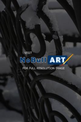 Nature - Snow - Canon Rebel Xti