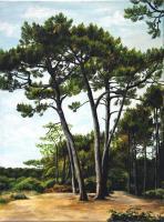 Bassin Darcachon - Sentier Du Littoral - Oil On Canvas