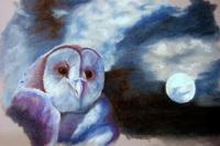 Owl And Moonlight - Pastel Paintings - By Jay Johnston, Realism Painting Artist