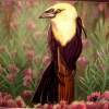 Bird And Flowers - Pastel Paintings - By Jay Johnston, Realism Painting Artist