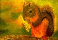 Wildlife - Squirrel At Lunch - Pastel
