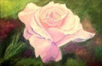 Soft Rose - Pastel Paintings - By Jay Johnston, Realism Painting Artist