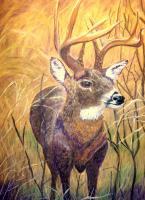 10 Point Trophy - Pastel Paintings - By Jay Johnston, Realism Painting Artist
