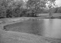 Silent Lake - Digital Camera Photography - By Nicole Larson, Black And White Photography Artist