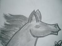 Charcoal Horse - Charcoal Drawings - By Nicole Larson, Fanstasy Drawing Artist
