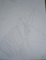 Unicorn - Pencil And Paper Drawings - By Nicole Larson, Fanstasy Drawing Artist