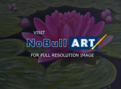 Floral - Water Lily - Oil