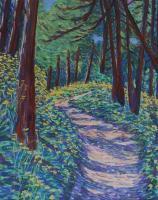 Forest Floor - Pastel Drawings - By Anne Doane, Impressionism Drawing Artist