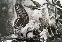 Subconscious - Pen Pastels Charcoal Carbon Pe Drawings - By Fransi Nieuwoudt, Symbolism Drawing Artist