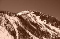 Sepia Snow - Digital Photography - By Lisa Short, Nature Photography Artist