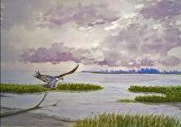 Northend Osprey - Watercolor Paintings - By Stanton Allaben, Impressionism Painting Artist