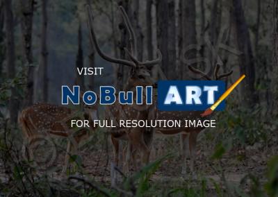 Wild Animals - Spotted Deers - Digital