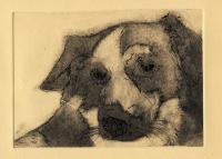 Dog 3-Cardboard Engraving - Cardboard Engraving Printmaking - By D Matzen, Representational Printmaking Artist