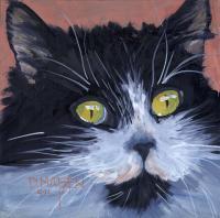 Cat 2 - Oil On Board Paintings - By D Matzen, Representational Painting Artist