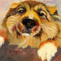 Dog 5 - Oil On Board Paintings - By D Matzen, Representational Painting Artist