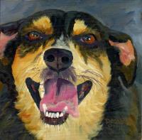 Dog  12 - Oil On Board Paintings - By D Matzen, Representational Painting Artist
