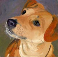 Dog 17 - Oil On Board Paintings - By D Matzen, Representational Painting Artist