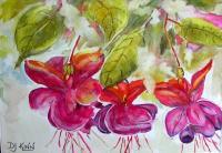 Florals - Fushcia - Watercolor