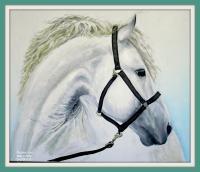 White Horse - Oil On Canavas Paintings - By Plamen Stanchev, Oil On Canavas Painting Artist