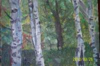 Birches - Acrylics Paintings - By Solo-Vejas Solovejus, Oil Painting Artist