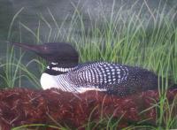 Dads Loon - Acrylic Paintings - By Dana Arvidson, Nature Painting Artist