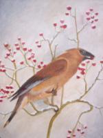 Cedar Waxwing - Acrylic Paintings - By Dana Arvidson, Nature Painting Artist