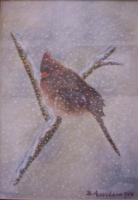 Snowy Cardinal - Acrylic Paintings - By Dana Arvidson, Nature Painting Artist