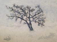 Delta Dogwood Winter - Acrylic Paintings - By Allen Nace, Impressionism Painting Artist