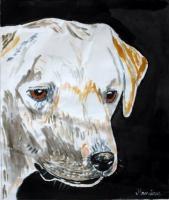 Dog - Acrylic On Canvas Paintings - By Fernando Maneiras, Modern Painting Artist