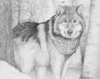 Stalwart Guardian - Graphite On Bristol Drawings - By Christopher Brooks, Realism Drawing Artist