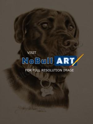 Portraits - Black Dog - Pastel