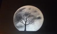 Full Moon - Acrylic Paintings - By Louise Demler, Realistic Painting Artist
