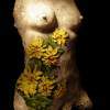 Nude Girl Life Size Torso With Flowers - Bronse Patina On Indoor Castin Sculptures - By Cirilo Cirilo, Classical Modern Sculpture Artist