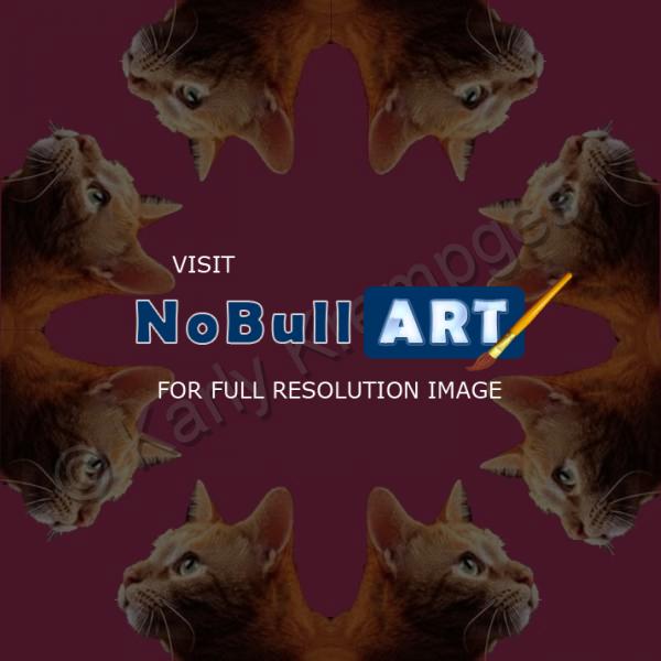 Digital Art - Symmetrically Balanced Cats - Digital