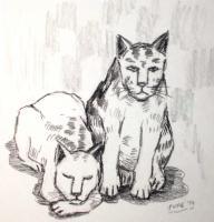Cats - Rest - Conte On Paper