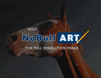 Equestrian Art - Alert - Acrylic