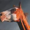 Alert - Acrylic Paintings - By Sally Lancaster, Realism Painting Artist