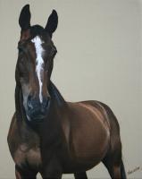 Equestrian Art - Majestic - Acrylic