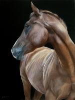 Chestnut Dreaming - Acrylic Paintings - By Sally Lancaster, Realism Painting Artist