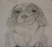 Holly - Animals Drawings - By Jade Art, Realism Drawing Artist