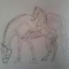 Playful Foal - Animals Drawings - By Jade Art, Realism Drawing Artist