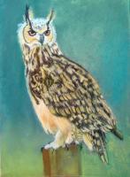 Great Horned Owl - Pastel Paintings - By Sue Lamarr Kramer, Realistic Painting Artist