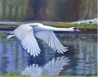 Taking Flight - Pastel Paintings - By Sue Lamarr Kramer, Realistic Painting Artist