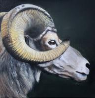 Mr Big Horn - Acrylic On Canvas Paintings - By Sue Lamarr Kramer, Realistic Painting Artist