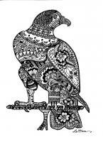 Bird Of Pray - Pen And Ink Drawings - By Sue Lamarr Kramer, Decorative Drawing Artist
